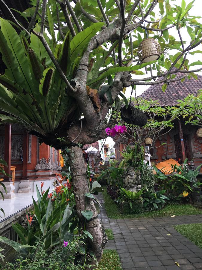 فندق Local Family House بيانغان المظهر الخارجي الصورة