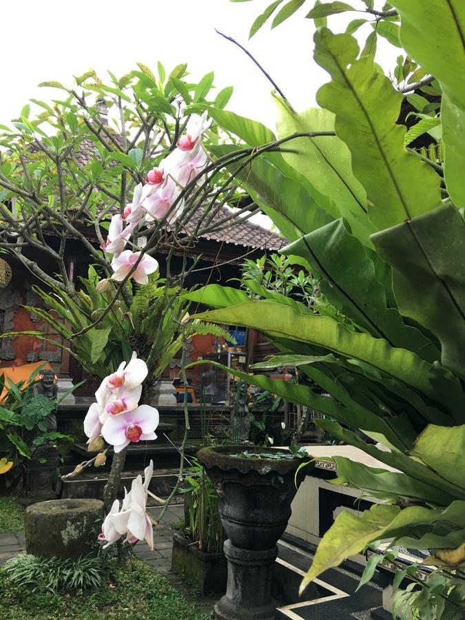فندق Local Family House بيانغان المظهر الخارجي الصورة