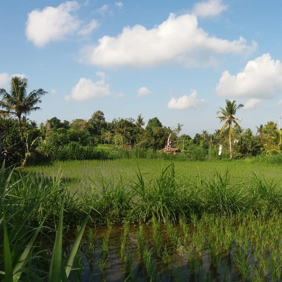 فندق Local Family House بيانغان المظهر الخارجي الصورة